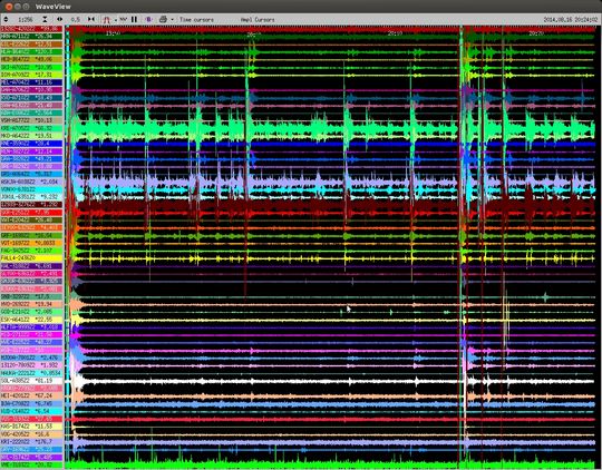 Iceland Earthquake Swarm_1