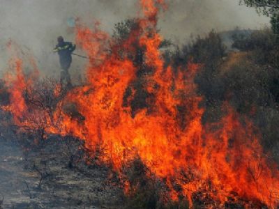 siberia fires