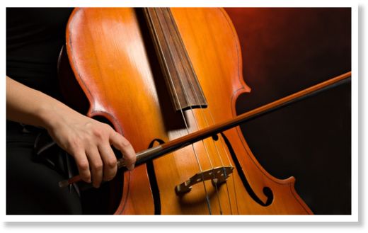 cellist