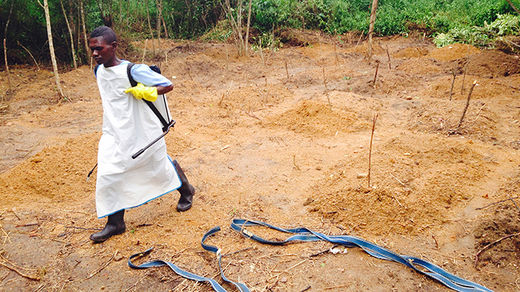 Click to enlarge ebola