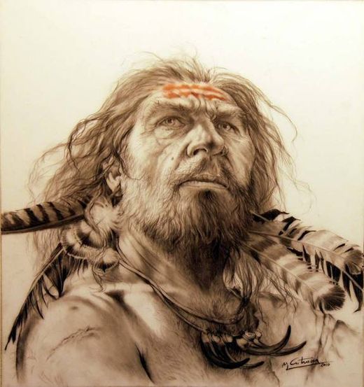 neanderthal face
