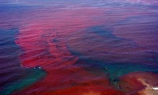 http://www.sott.net/image/s10/201818/large/Blood_20Tide.jpg