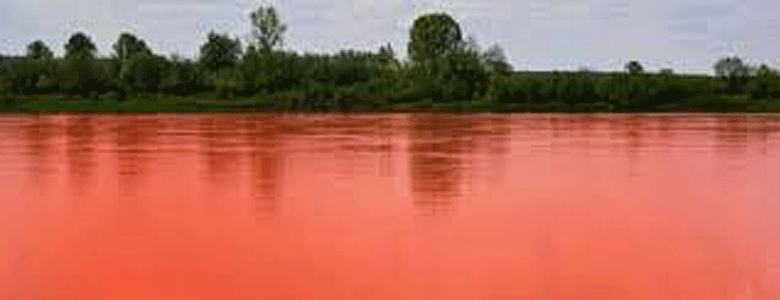 blood water florida