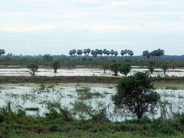Click to enlarge Image