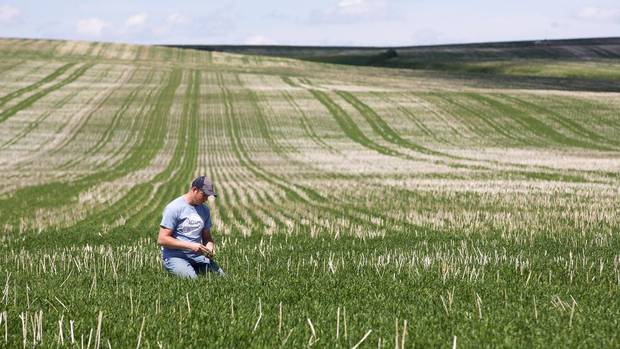 Click to enlarge farm canada