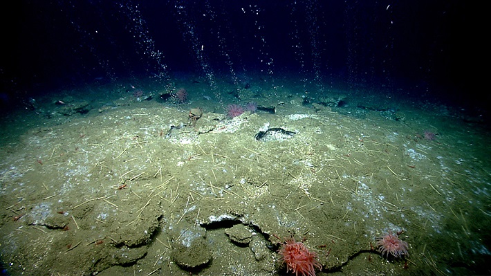 Methane bubbles