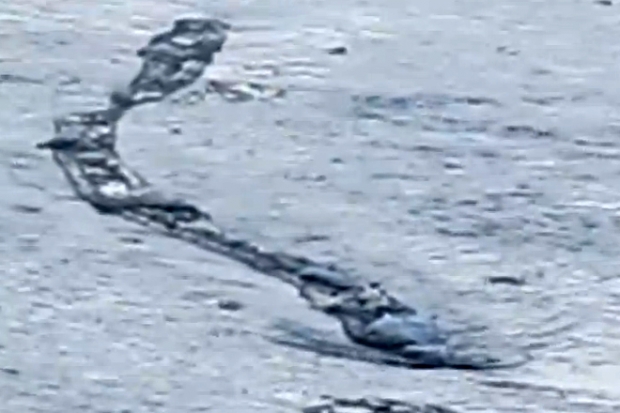 Iceland Lake Monster