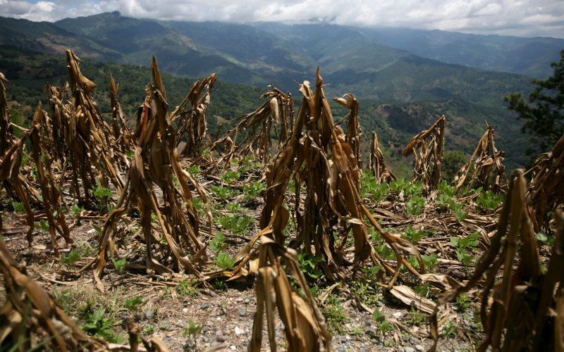 Guatemala drought