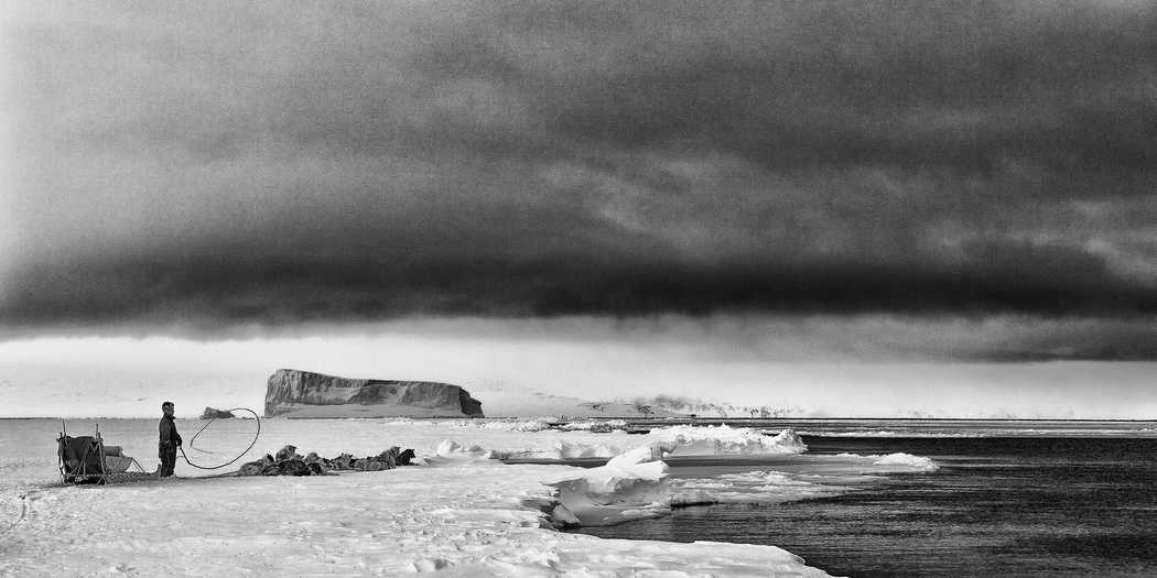 arctic