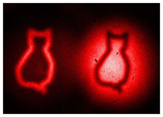 Click to enlarge Cat outline etchings