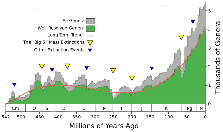 Click to enlarge Image
