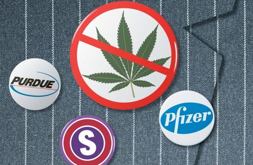 Click to enlarge legal pot