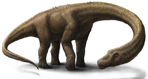 largest vegetarian dinosaur