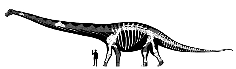 Click to enlarge Image