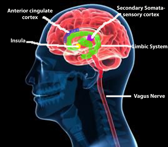 Click to enlarge Image