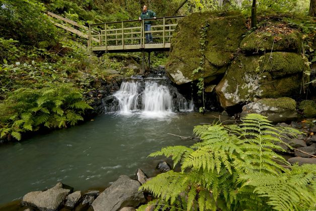 Wild Horse Creek