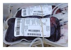 Bags of Blood