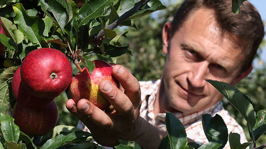 french farmer