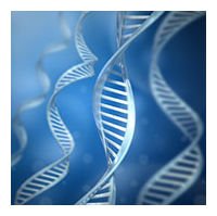 Click to enlarge DNA