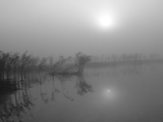 cloudy sun