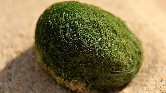 Green Balls_2
