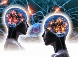 neurons