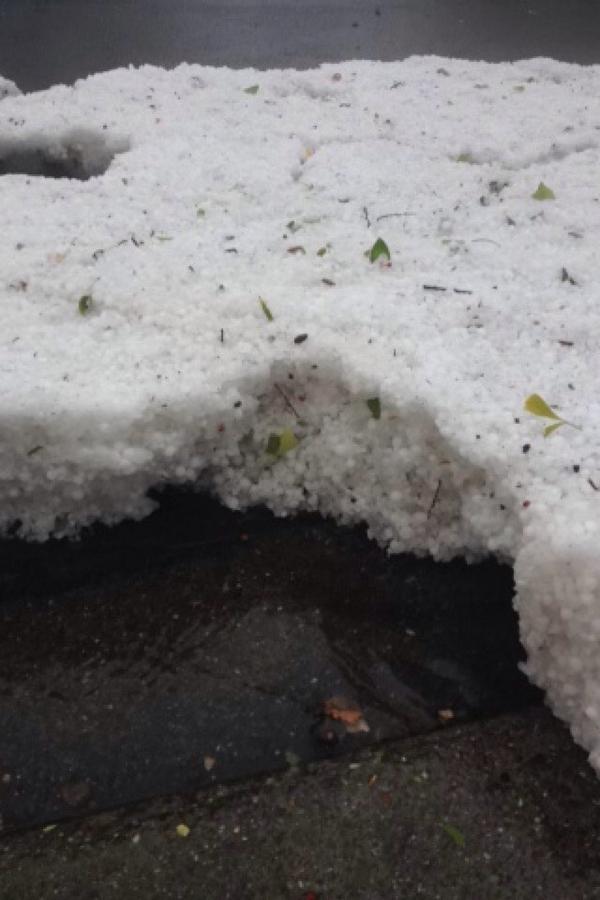 Napa Valley hail 1