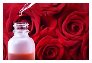 Smell