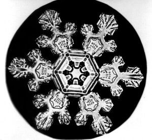 Click to enlarge Image