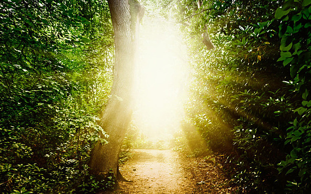 Click to enlarge Life After Death