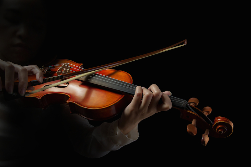 Violin