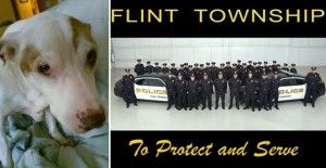 cop-shoots elderly dog