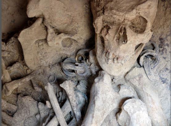 Click to enlarge Skull and detail of the jewels, with the golden and silver ear dilators.