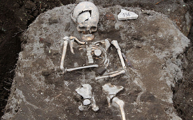 Skeleton