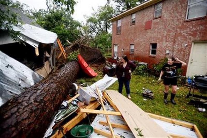 Fallen Tree