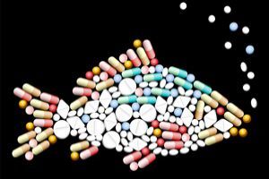 pill fish