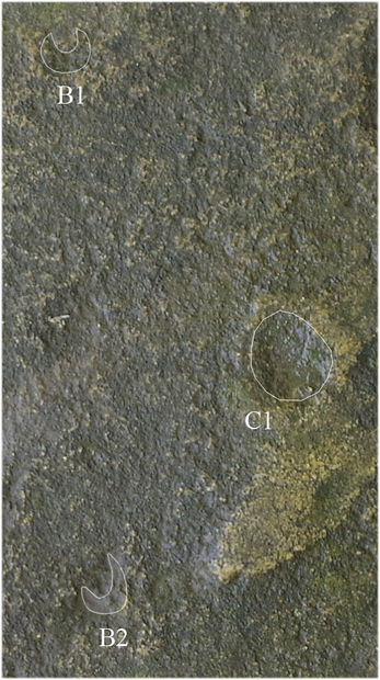 Stone slab