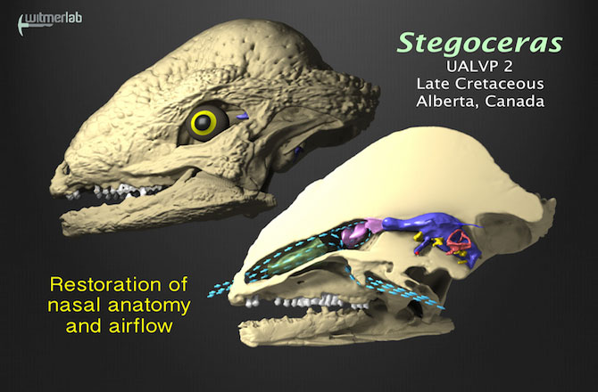 Click to enlarge Image