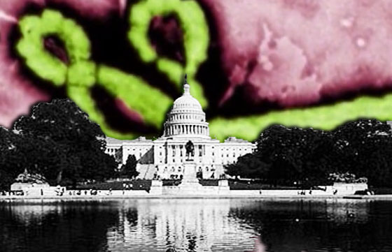 ebola whitehouse