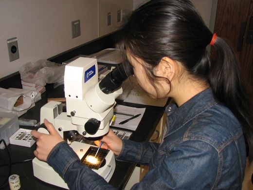 Zunli Lu