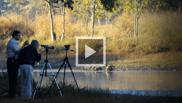 Canadian Bird Watchers being watched by CRA