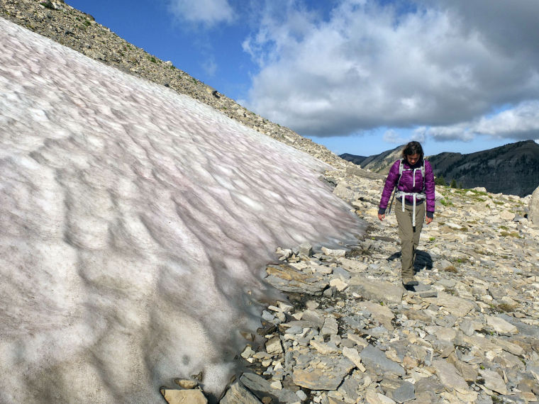 ice patch