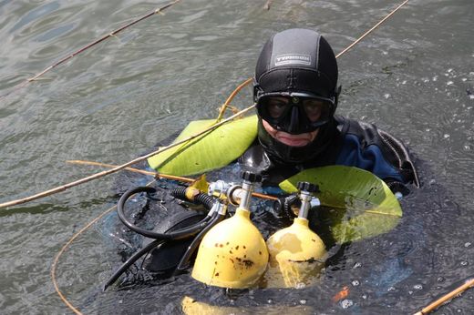 Diver