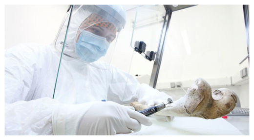 Working in a Lab
