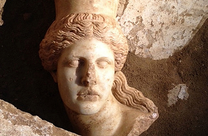 Head