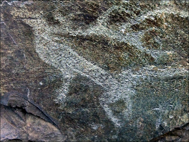 Click to enlarge Image