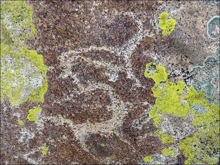 Click to enlarge Image