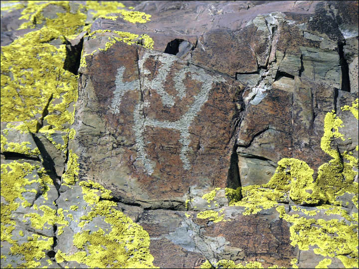 Click to enlarge Image