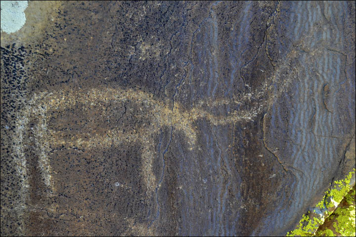 Click to enlarge Image