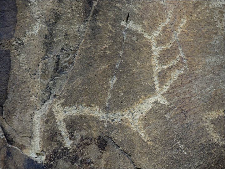 Click to enlarge Image